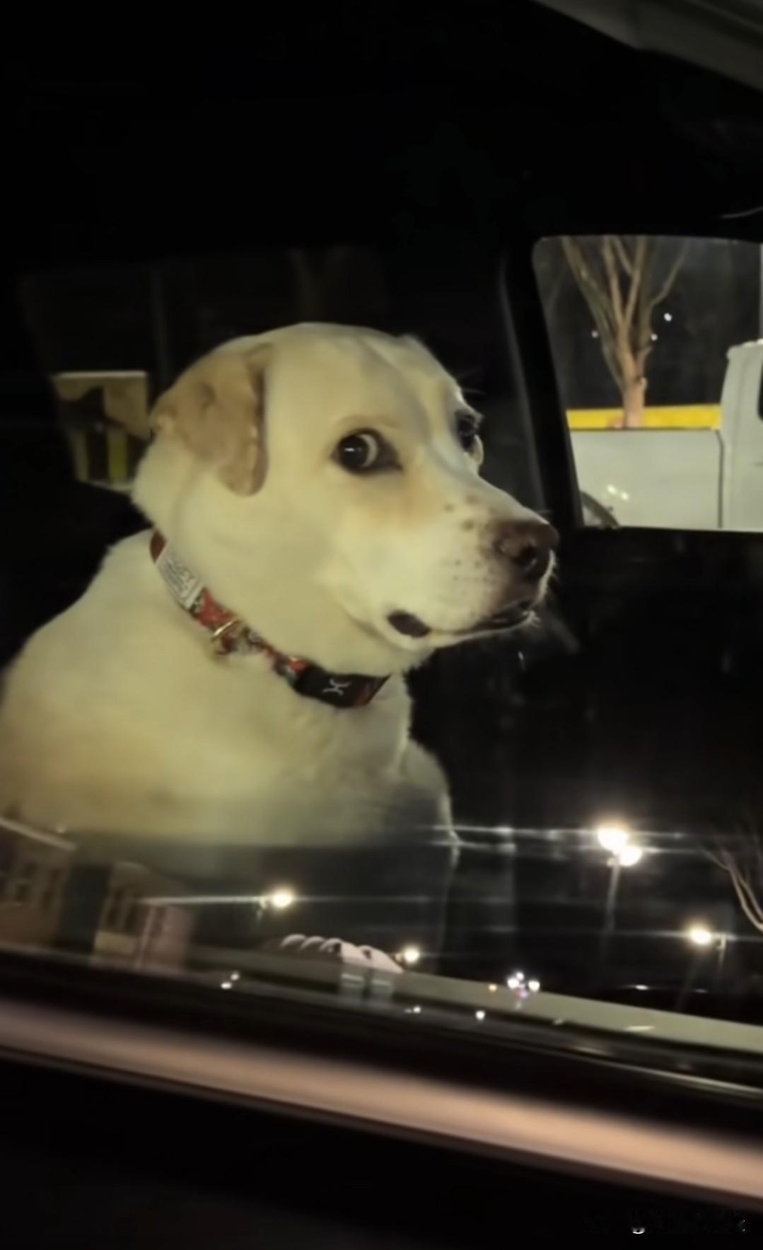 今天我看见一位长相普通的大姐发了这样一段话：“我不偷人，不做第三者，不插足他人婚