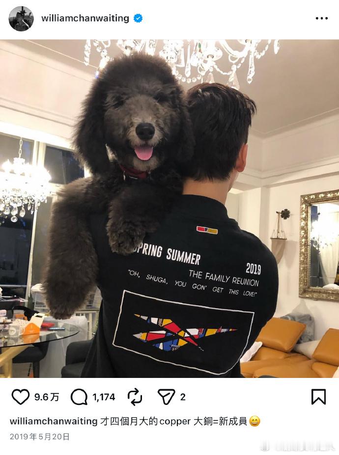 陈伟霆儿子在大铜去世第二天出生陈伟霆的狗去世第二天小孩出生温柔又好哭！爱犬大铜离