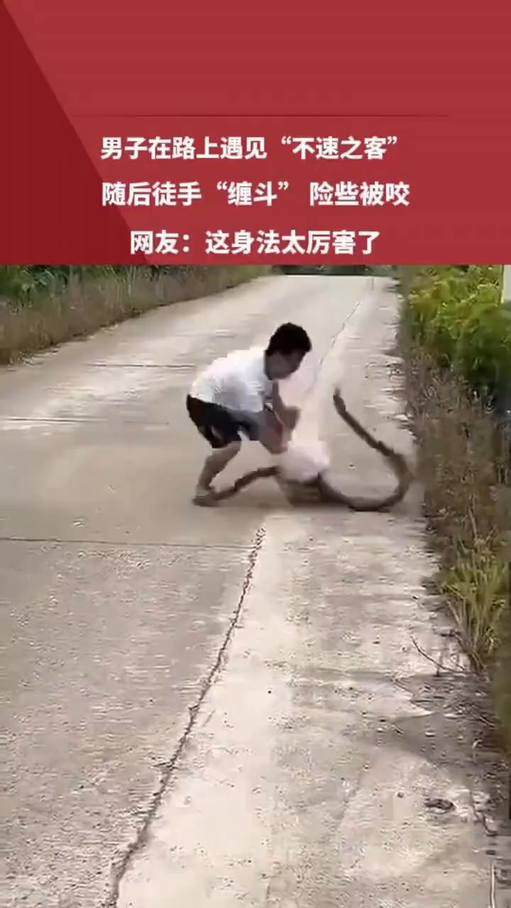男子在路上遇见"不速之客"，随后徒手"缠斗"险些被咬。网友：这身法太厉害了。
来