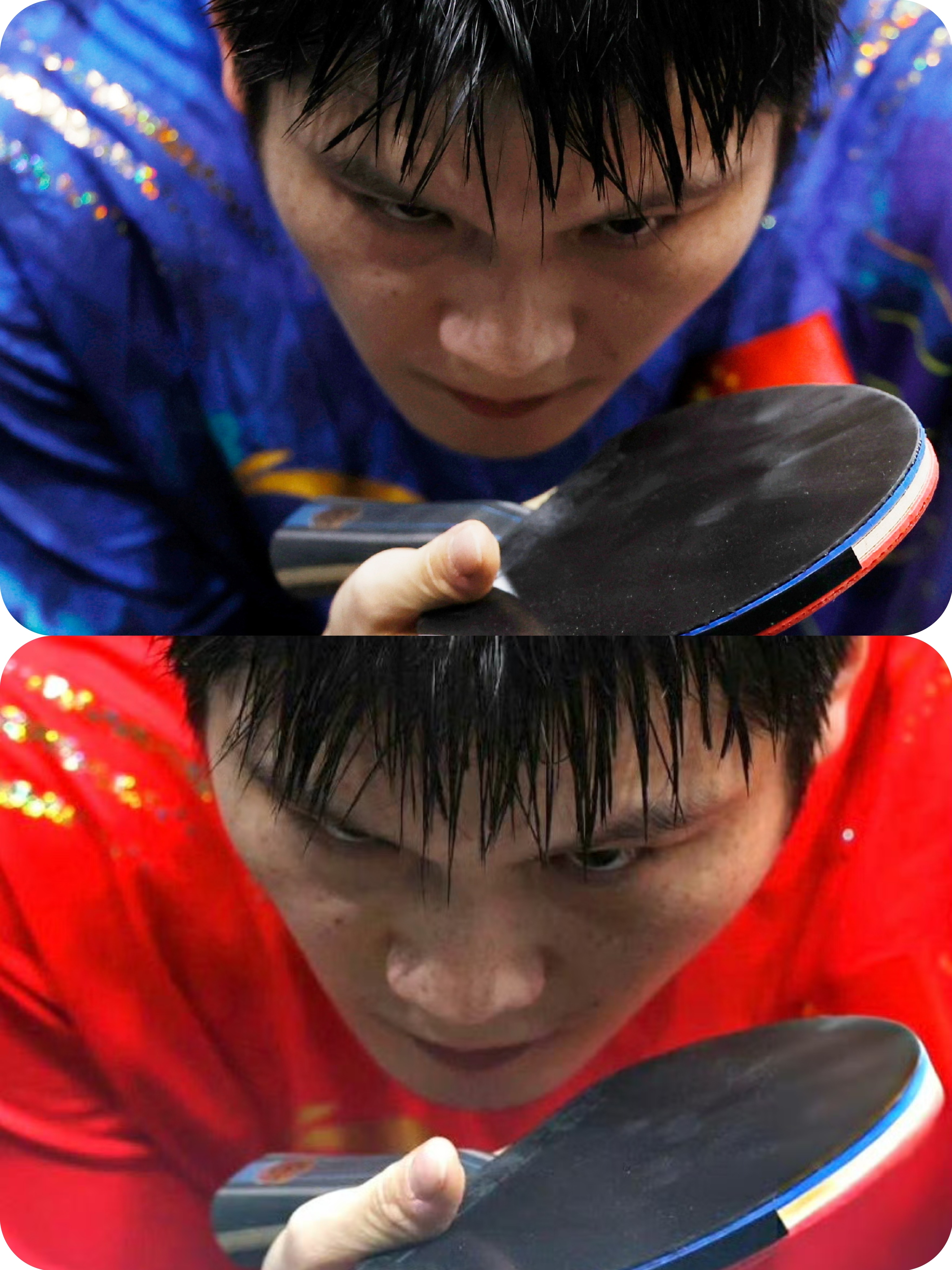 樊振东巴奥那一帧的神图，不只有蓝袍还有没见过的红袍。 