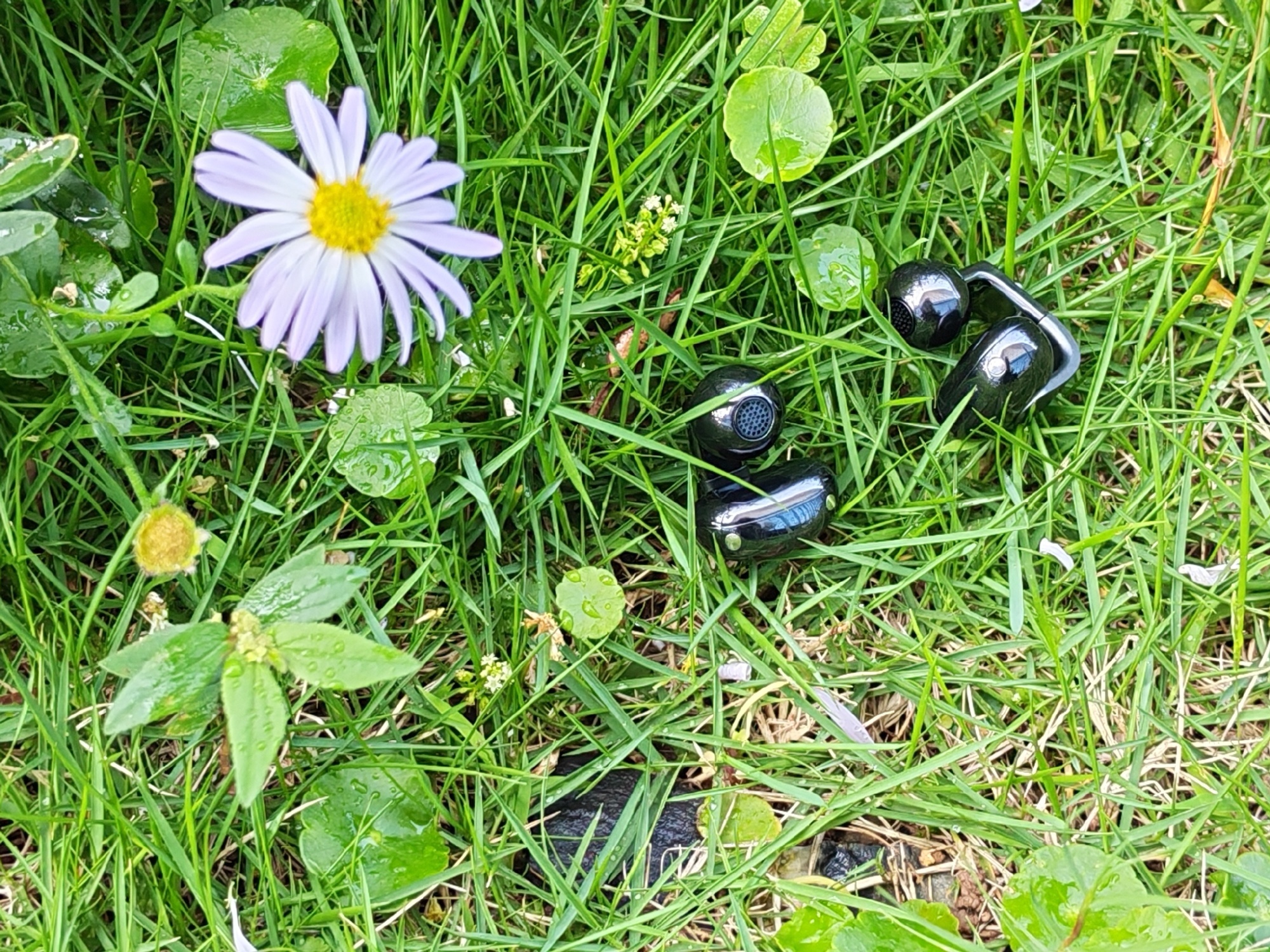当科技遇见自然，便有了李昀锐同款“荣耀小耳钉”的诗意绽放。在光影斑驳的绿叶间，棱