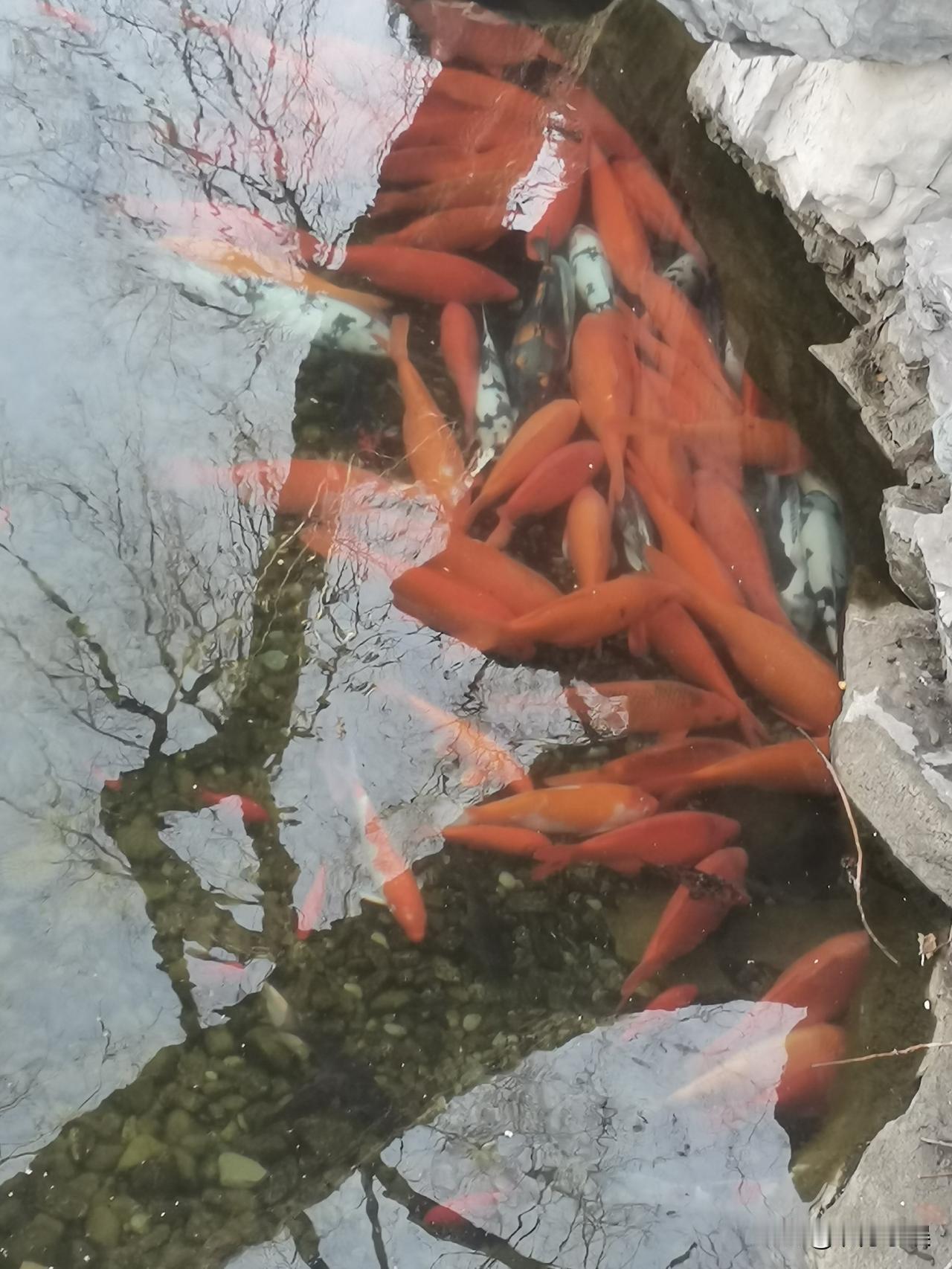 这姑娘都40多岁了还不结婚，真是愁死人了！
我同事的女儿84年的，今年都41岁了