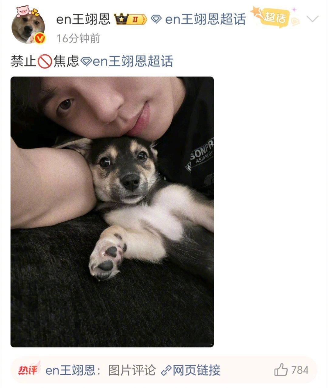 杨丞琳王翊恩天赐舞台事故王翊恩还发了小狗让大家禁止焦虑！！ 
