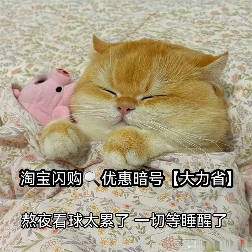 看球上淘宝闪购点外卖更优惠难得白天开赛不用熬夜，看球刚需外卖别错过！淘宝闪购大力