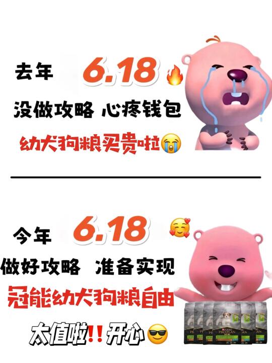 618闭眼入！肠道+免疫双重守护，新手养狗福音