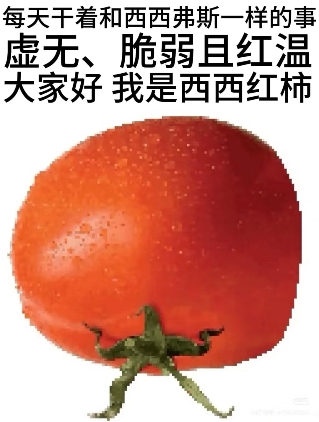 7012【拌匀】西西红柿 