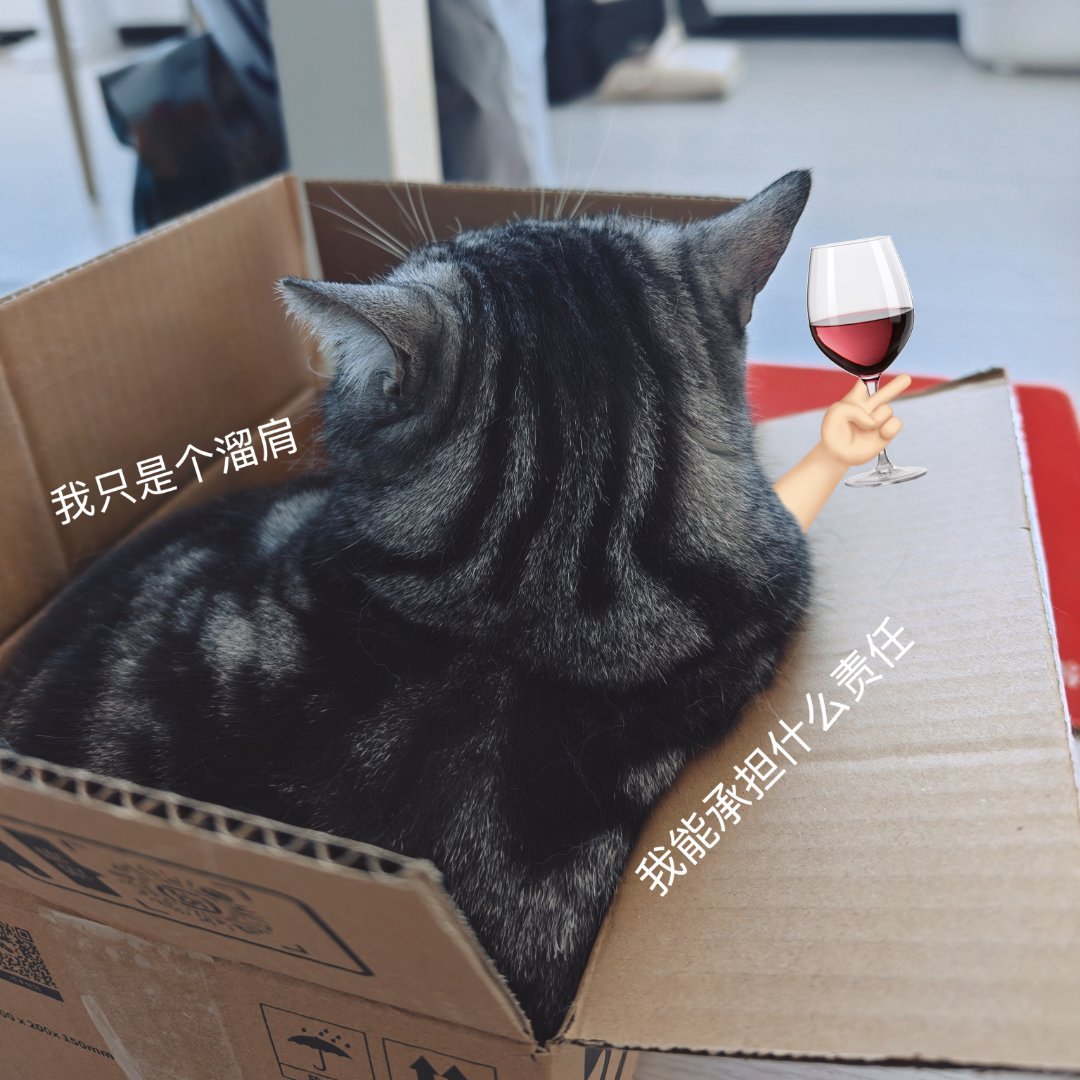 同事诱捕盒。第一天我就发现了他很喜欢方方的小一点的盒子。就放了个快递盒。果然，诱