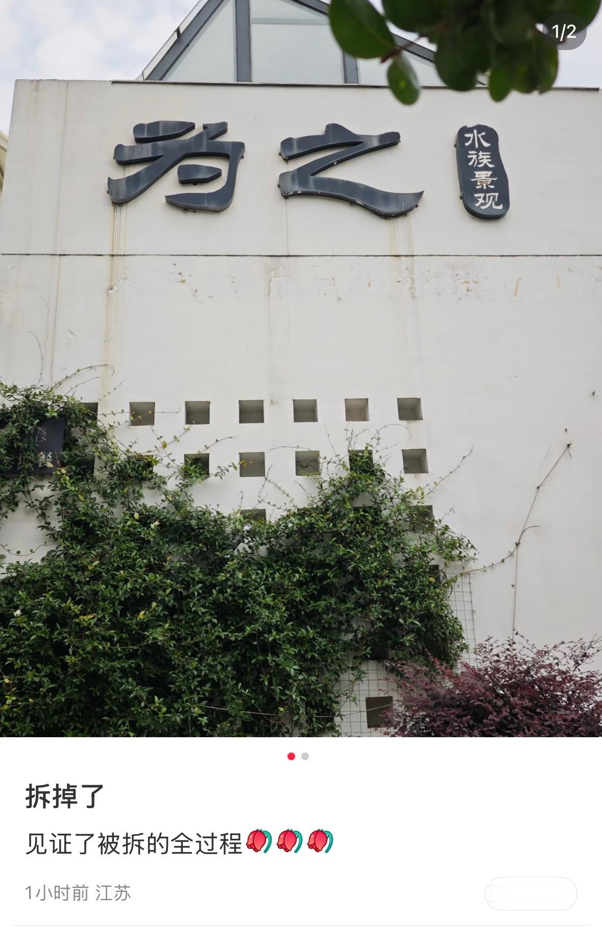 为什么我要去翔了 