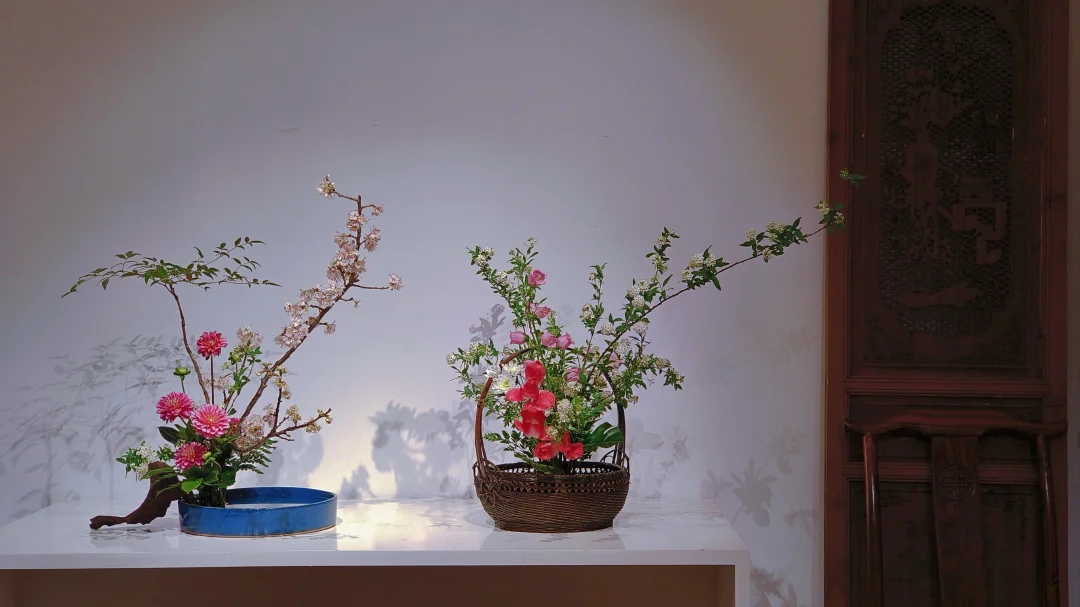 美人如花人易羡