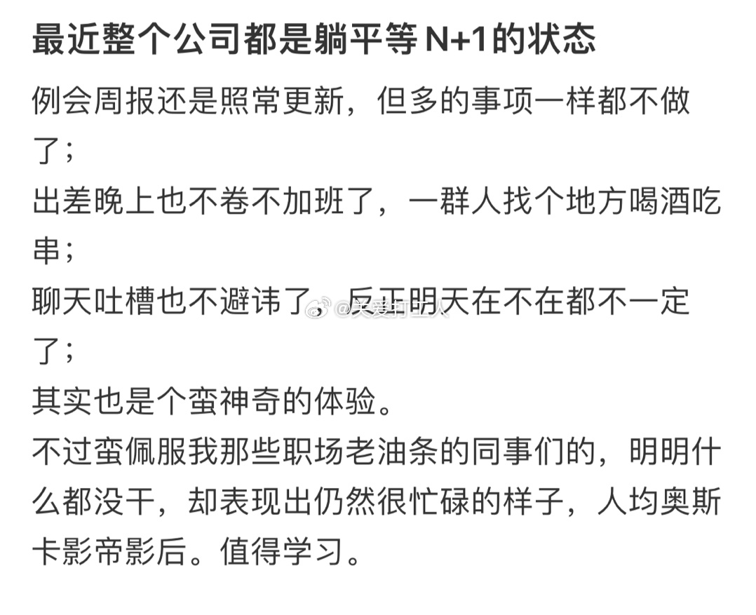 最近整个公司都是躺平等N+1的状态 ​​​