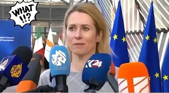 欧盟这回是彻底不装了，所谓的公平合作全是幌子，所有狠招全都对准了我们。
 
先是