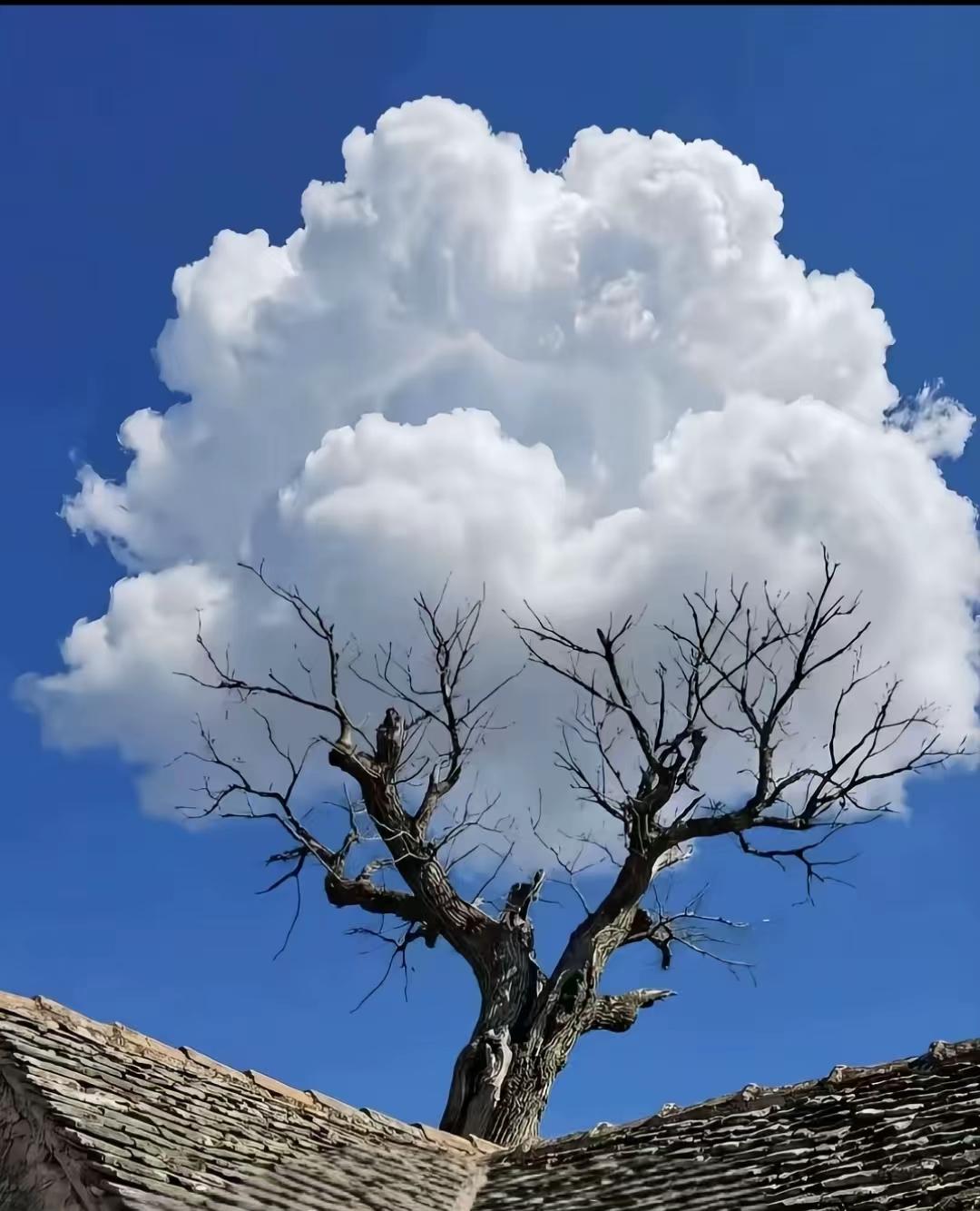不敢承认的痛：我好像不爱我的孩子了刷到抖音上一个母亲红着眼睛说出的心声：我好像不