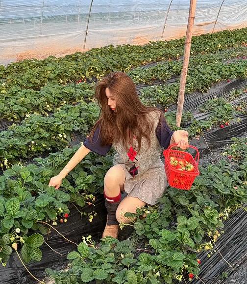 云南曲靖，一女子在自己草莓大棚里突然被邻居抱住。因为受到惊吓，女子没能做出太多反