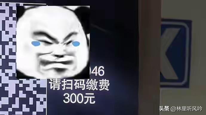 家人们，上海一女子最近遇到糟心事了！她去半岛酒店对面饭店吃饭，把车停酒店里，结果