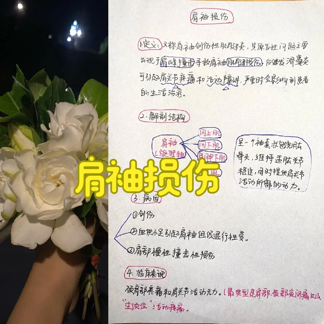 今日学习——肩袖损伤