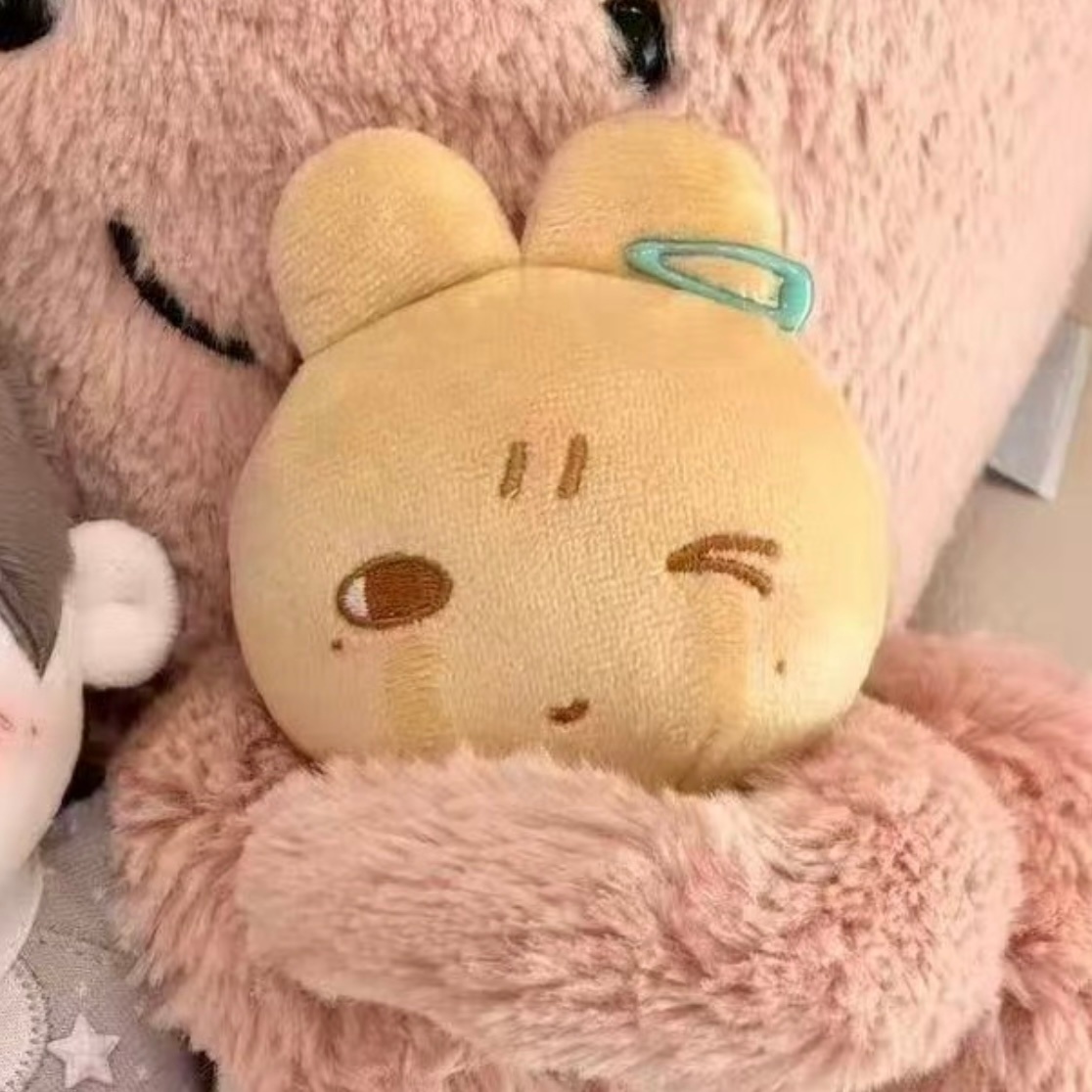被挟持的兔 