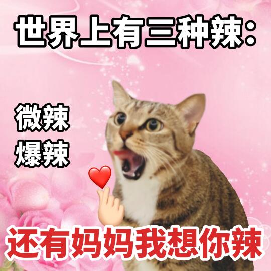 人，是不是想妈妈辣！