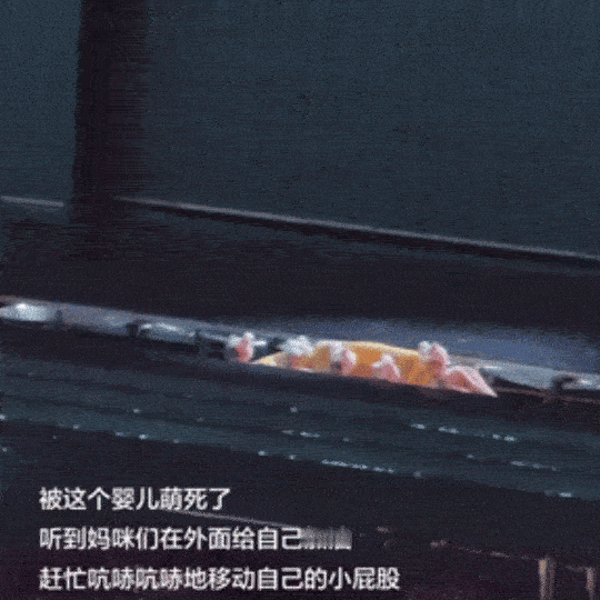 两次熊皮出场姿势都不一样 好臭屁啊^^!! ​​​
