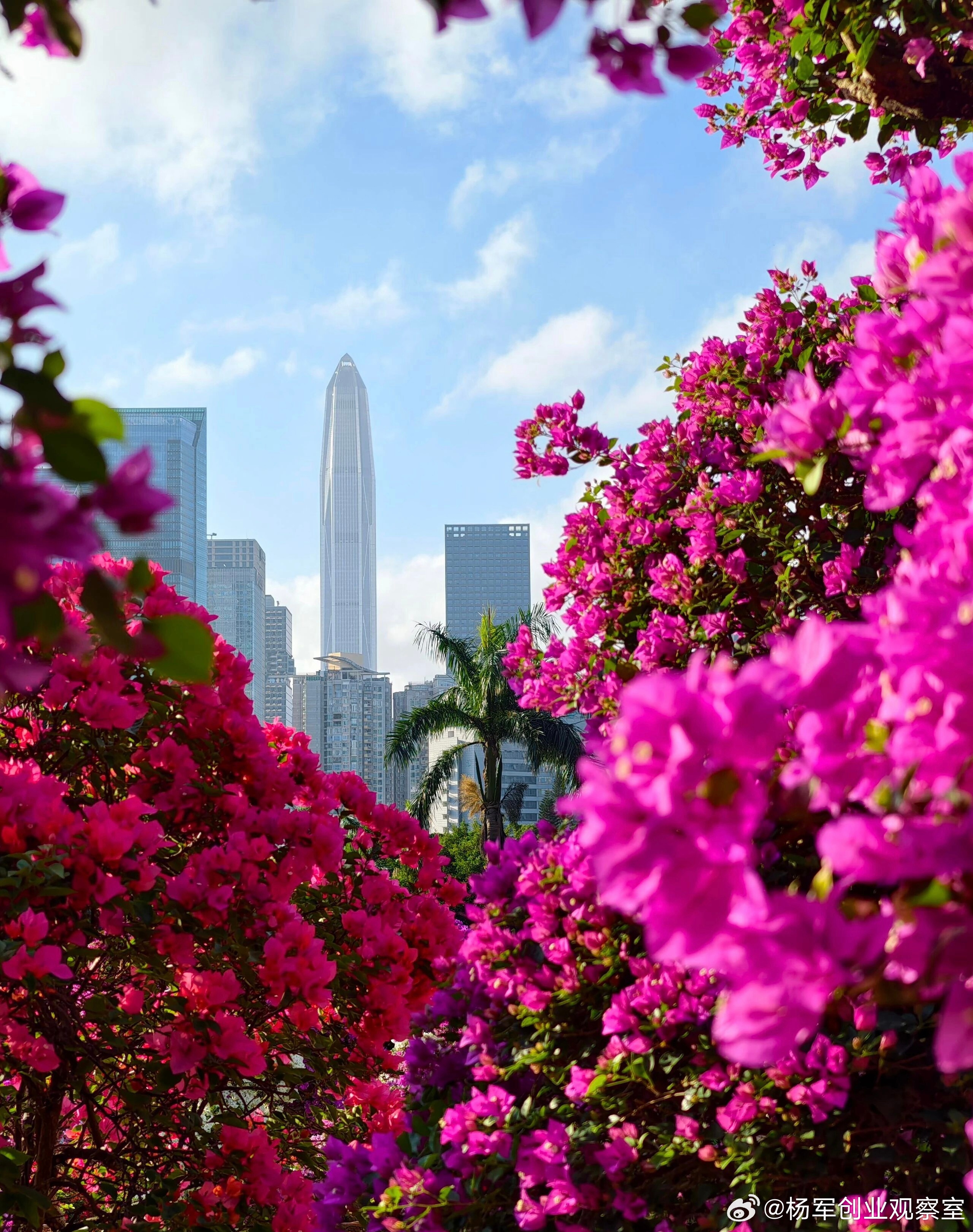 26年，从落脚到扎根。同频生长，幸为深圳人。闯过、拼过，骄傲着。生日快乐，我的城