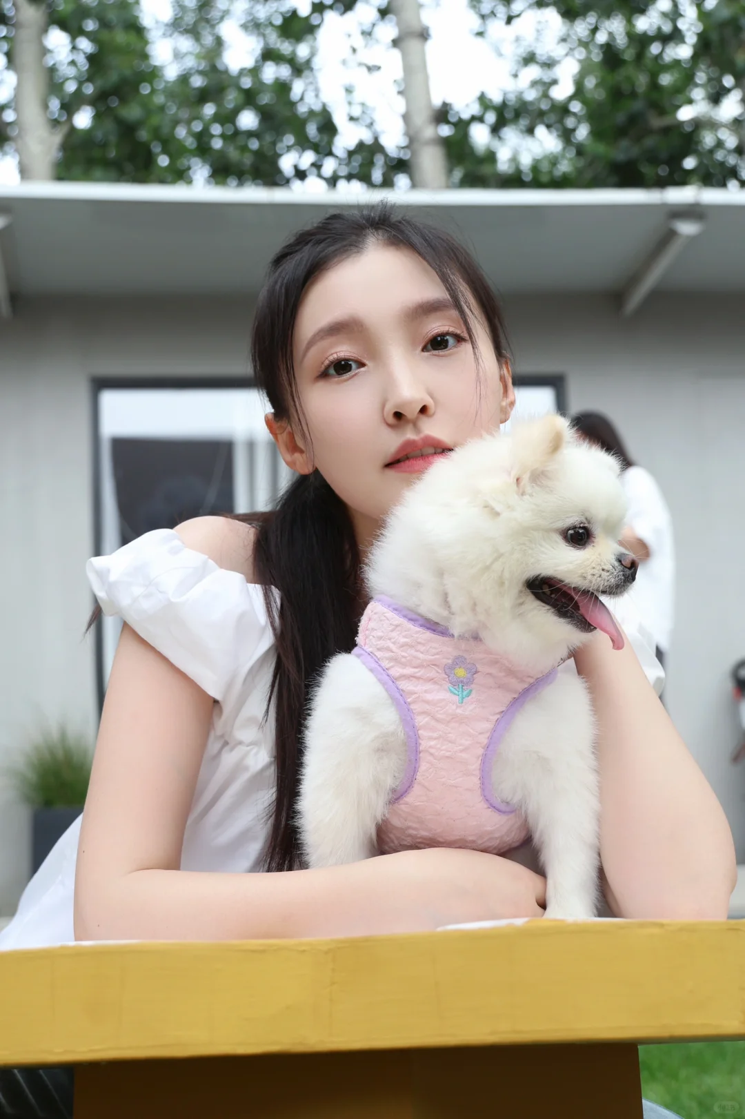 🐶☀️🍃我和小狗有个约会꒰(๑´•.̫ •`๑)꒱🐾