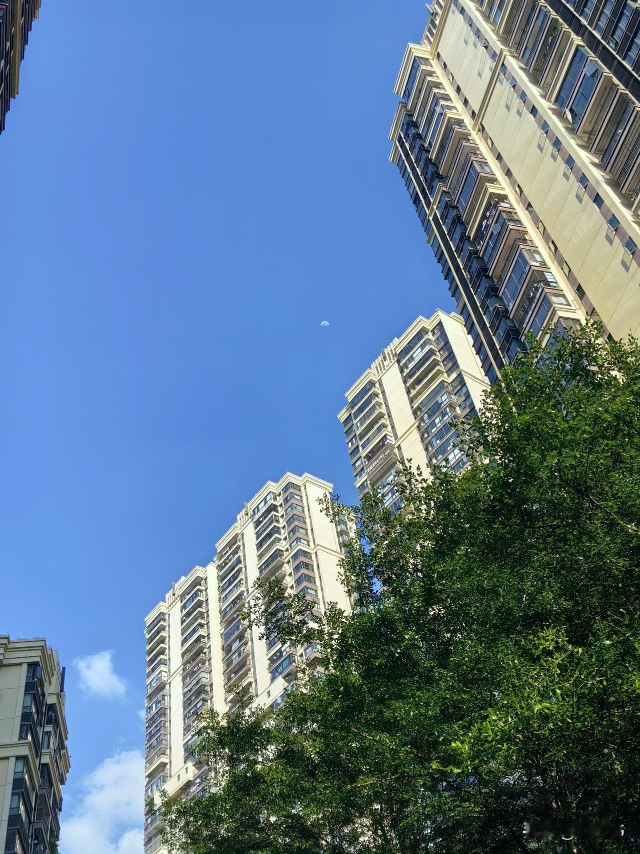 我认为工作防老。

忙活了大半辈子，身体和思维早已习惯了日常运转，这动了一辈子，