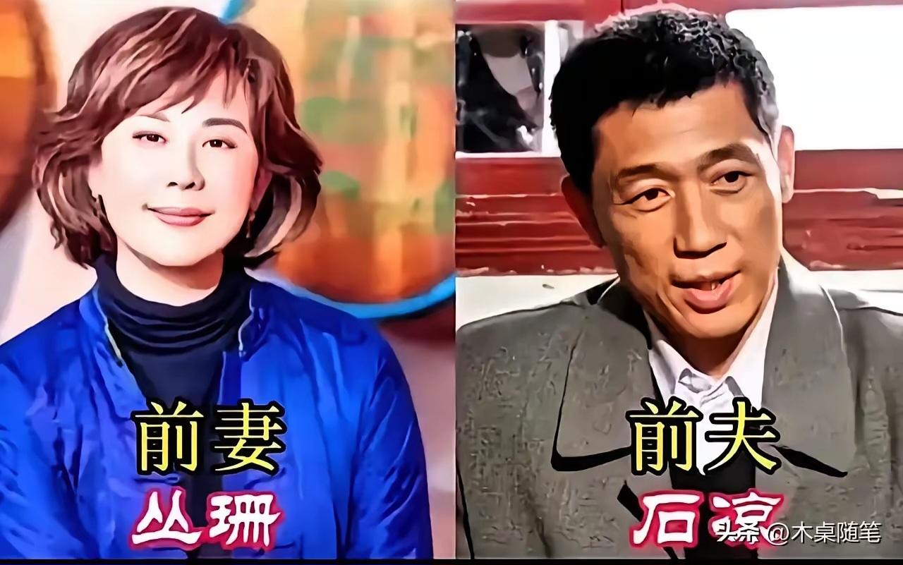 王铎：丛珊和石凉，都是“前夫前妻”。