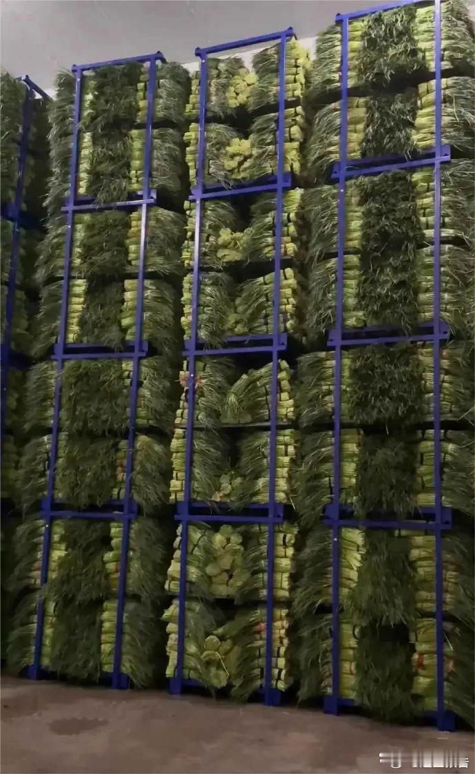 俺们老板，是一个老谋深算的人，从现在就开始囤货了，看出这是什么东西了吗？ 