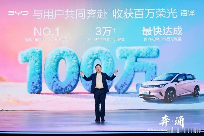 比亚迪海洋双旗舰定名海豹08海狮08想在高端新能源车领域站稳脚跟，比亚迪海洋网这