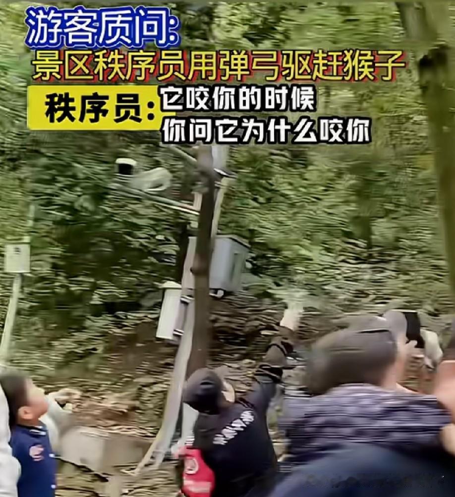 回答的好，回答的妙！