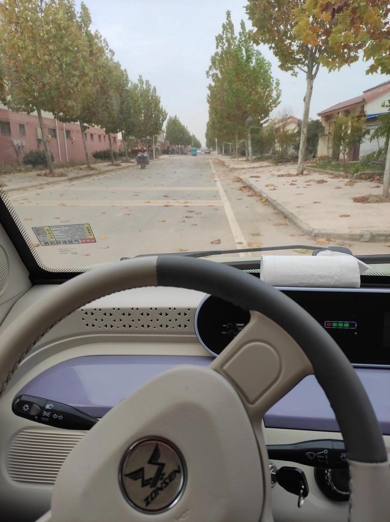 秋天到了，树叶黄，满地都是飘落的树叶。
另有一番秋日的美丽风景。