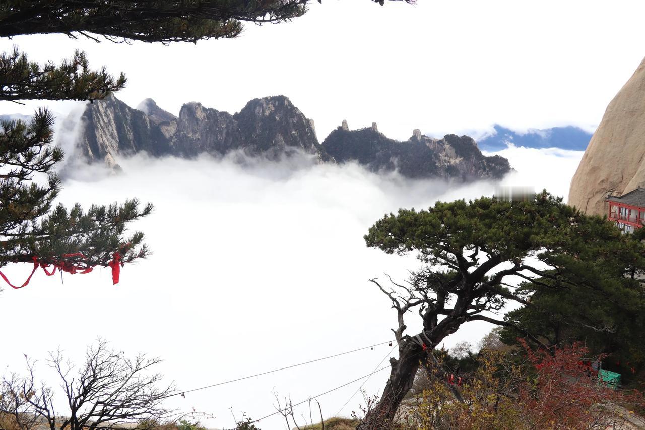 #拍拍身边风景#雨后华山美景。
昨天和朋友登华山，刚开始天公不作美，华山上刮风下
