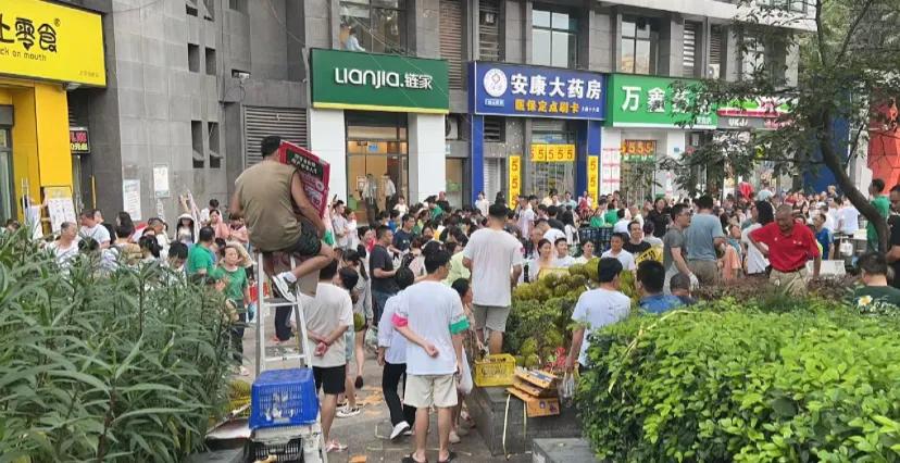 关
大家是不是疯了?
家楼下两个水果店打价格战，榴莲13.9一斤
大家跟不要s一