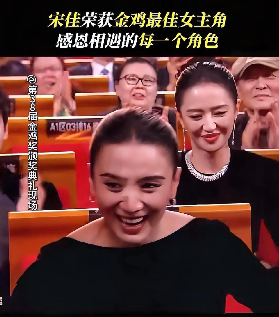 2025年，宋佳干了一件让整个娱乐圈都瞠目结舌的事——她居然在半年内，把中国电视