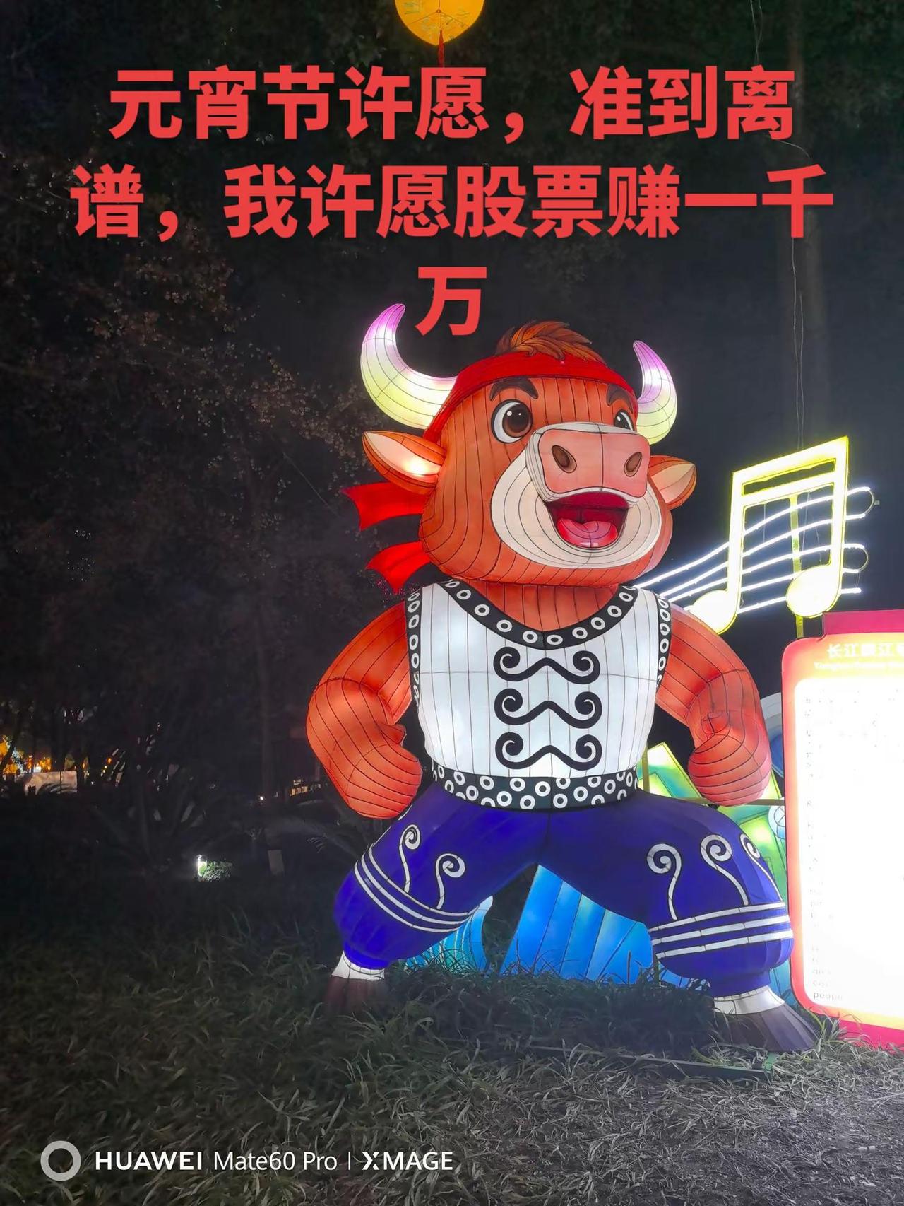 今天是元宵节，快来许下你今年的心愿吧。灯会 寻找灯会里的中式浪漫 元宵节 元宵节