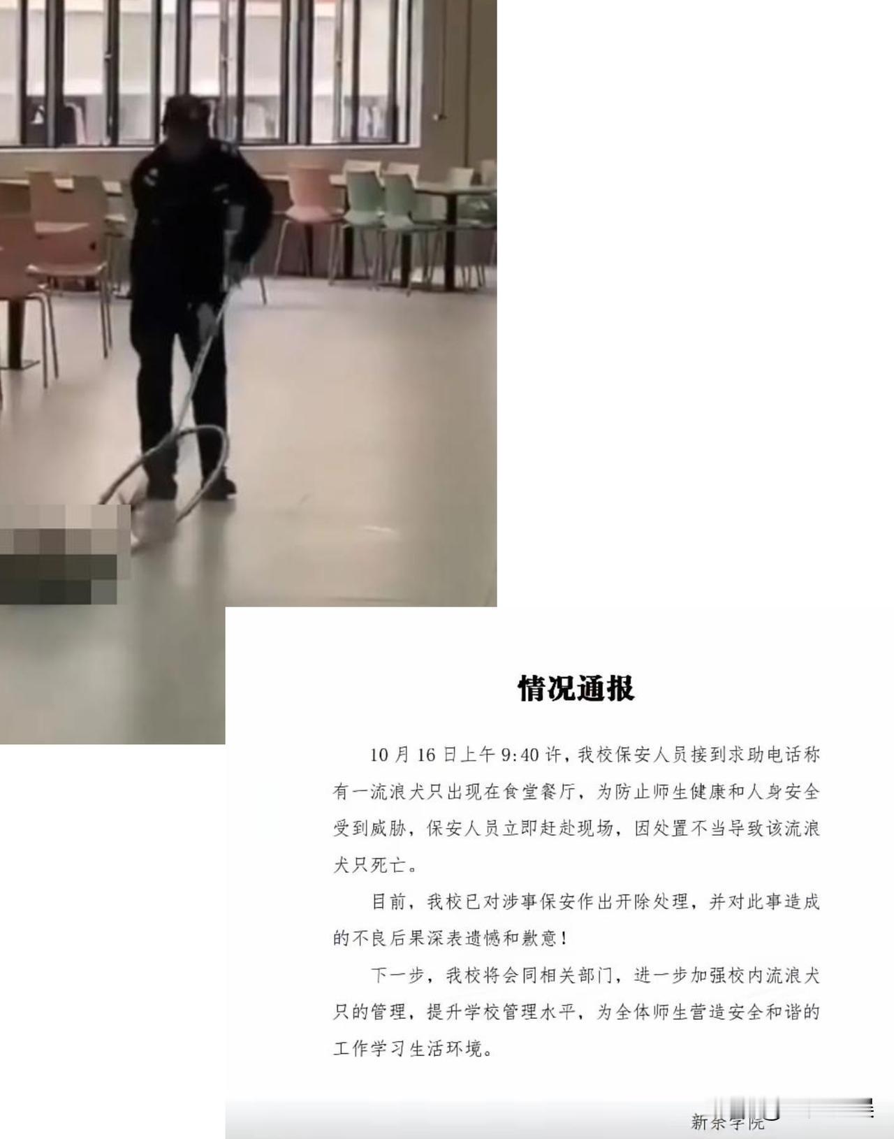 某校保安因为处理不当，致使校园里面的流浪狗死亡。
校长:为了师生安全，决定开除保