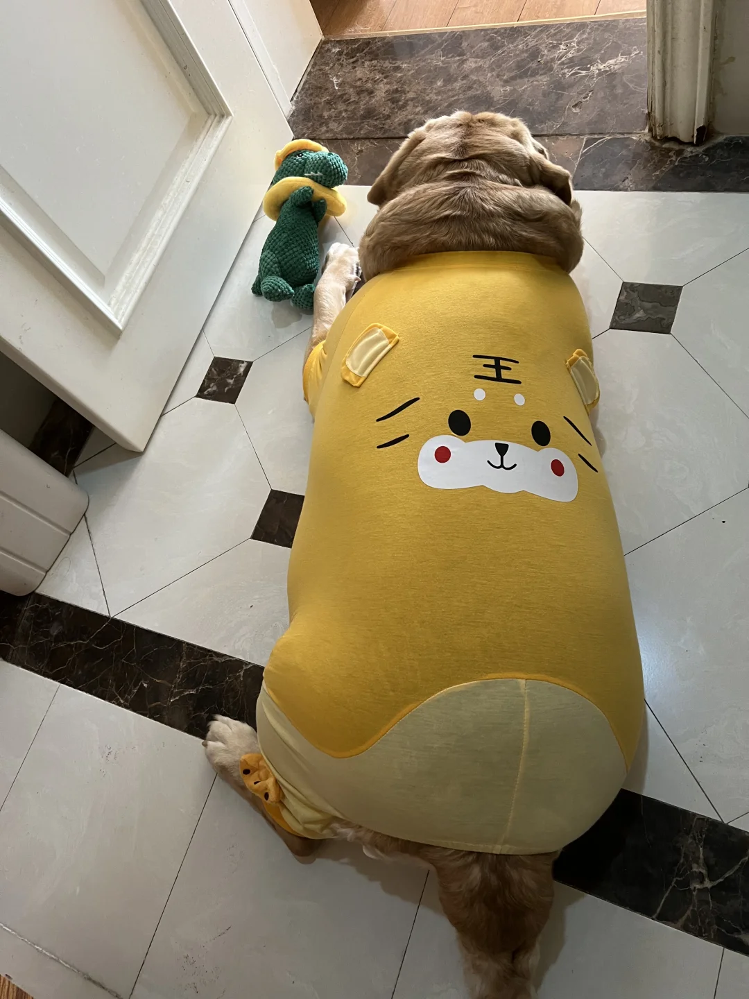 小狗V我50让我把这组照片删掉