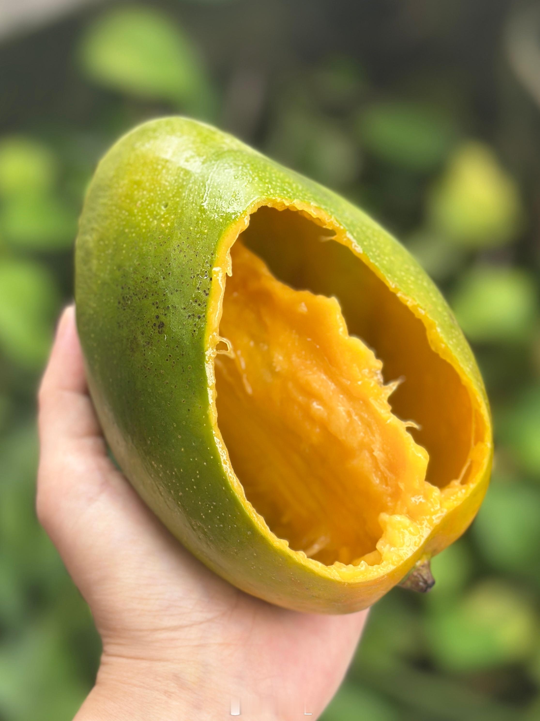 [比耶]不脏手吃芒果技能get🥭吃芒果的正确打开方式喜提一只芒果鞋 ​​​
