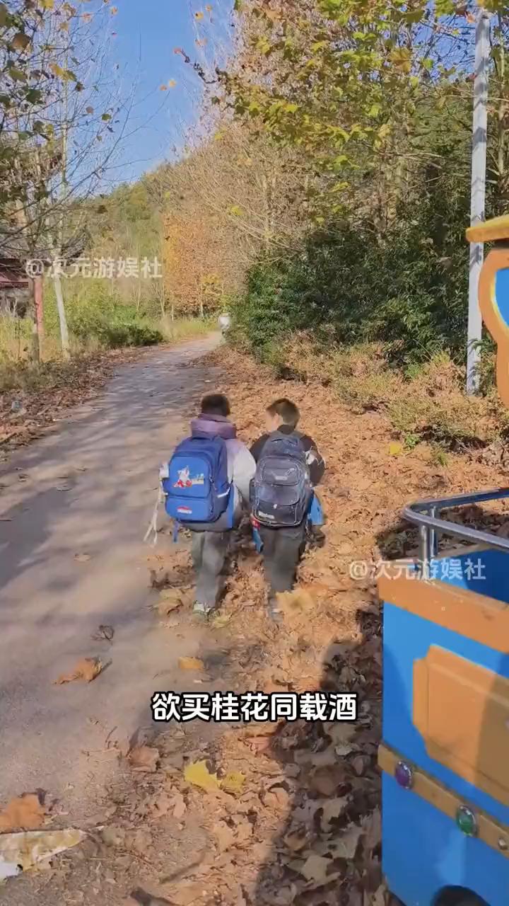 次元游娱社。
欲买桂花同载酒，终不似少年游。没想到年后的第一哭是送给曾经的自己的