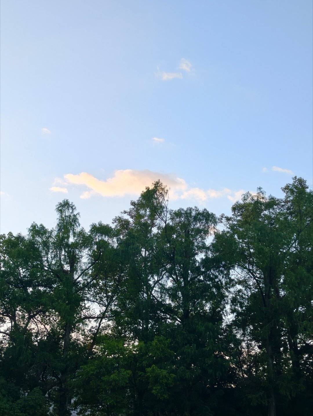 暴风雨来临前的平静 