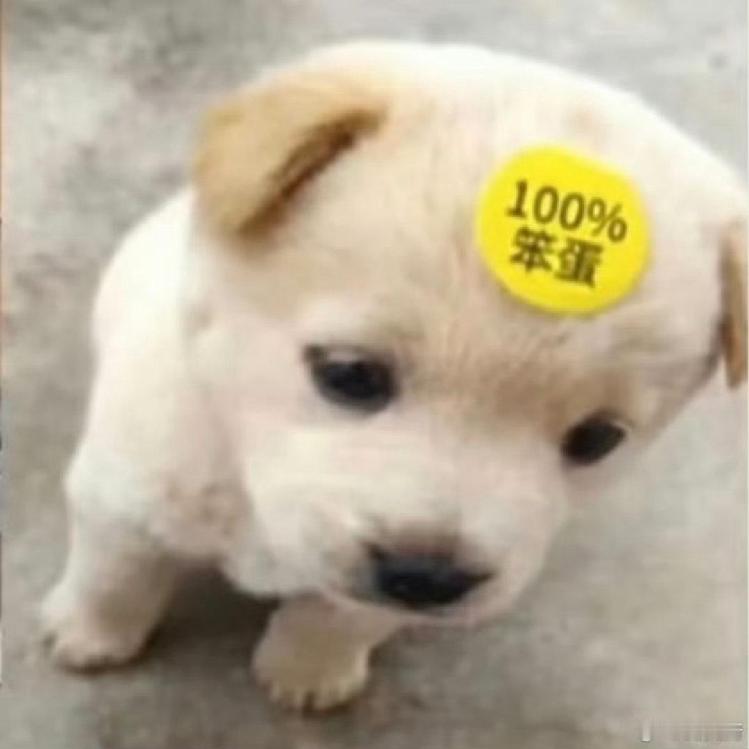 东条正义和豆汁均有 ​​​