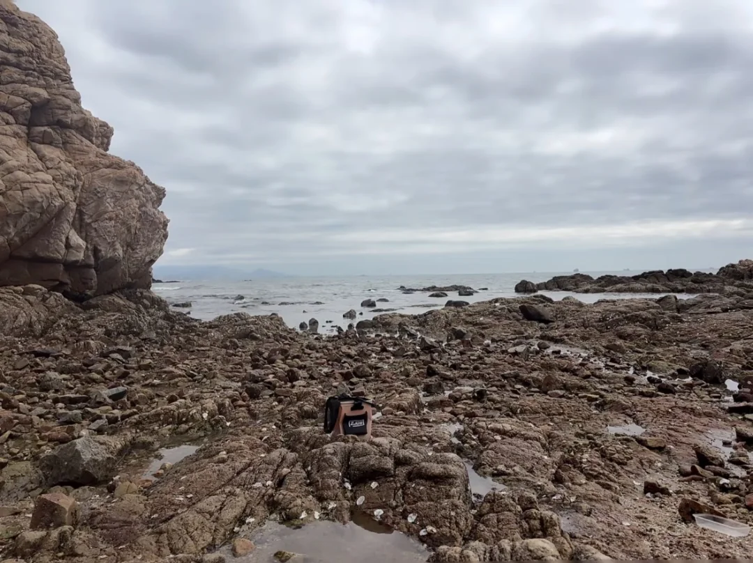 📍北戴河欢乐湾赶海，最佳位置✅