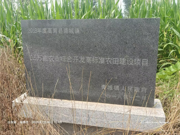 秦岭笑谈 黄河岸边问耕事——山东沿黄区域耕地“非粮化”问题调研纪实曲阜师范大学大