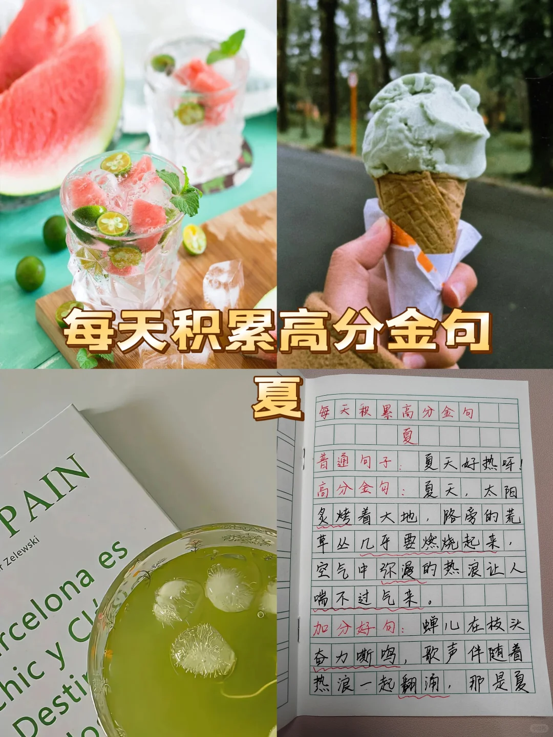 每天积累高分金句《夏》