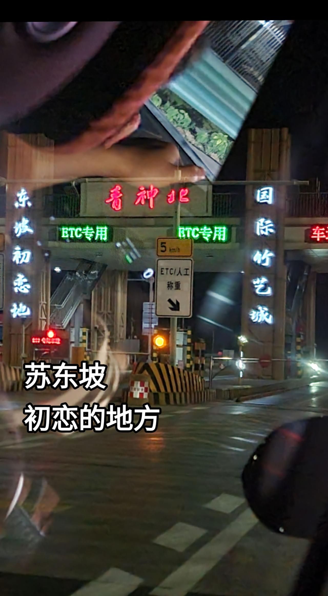 出游