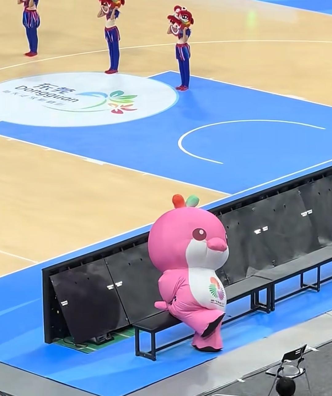 到目前为止，一个比赛视频也没刷到，满屏幕都是他们[大笑]。太萌太可爱太癫了，摇头