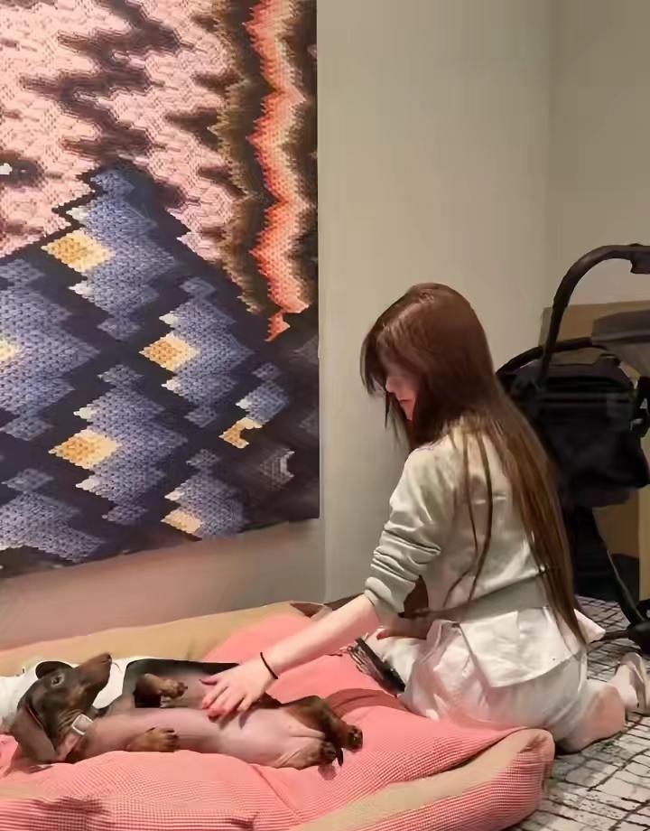 我姐姐是天使 我一直觉得爱动物的人再坏也坏不到哪去赵露思 动物救助 人宠共生 d