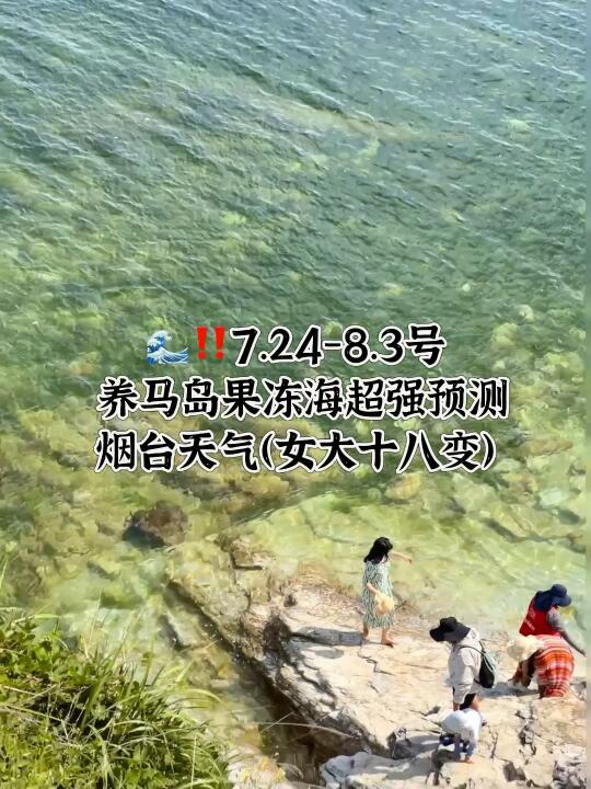 📍7.24-8.3号烟台养马岛果冻海超强预测