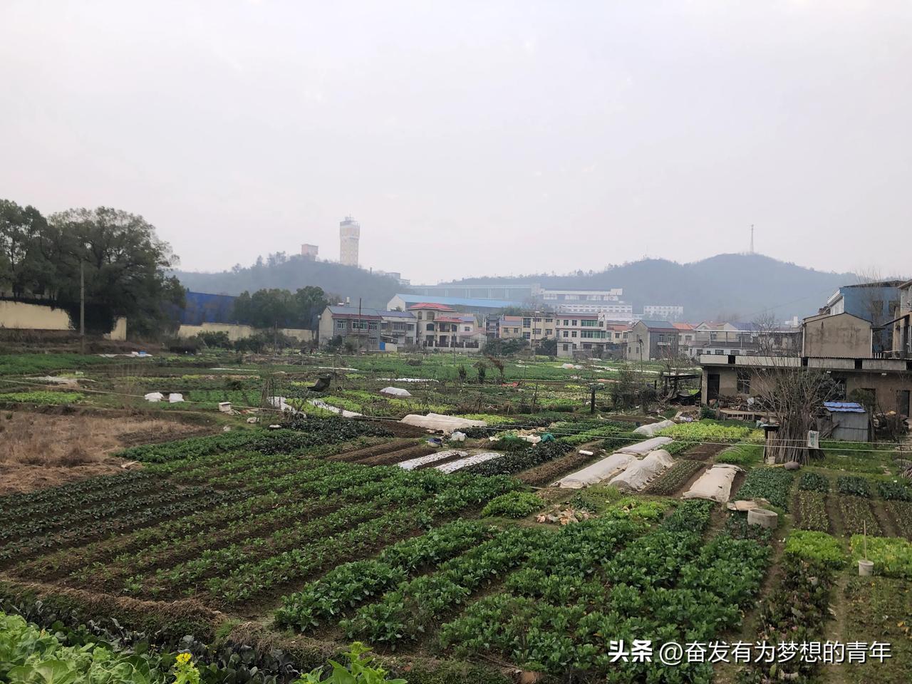 在农村，大伙儿聊天时常爱吹嘘自己家底多厚，谁家有60万，又有哪家藏了90万。我得