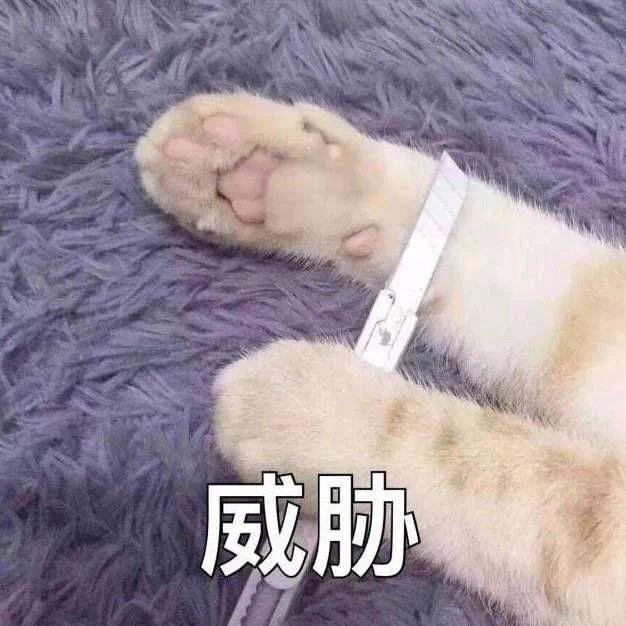 晚安💤今晚要早睡！！！ 