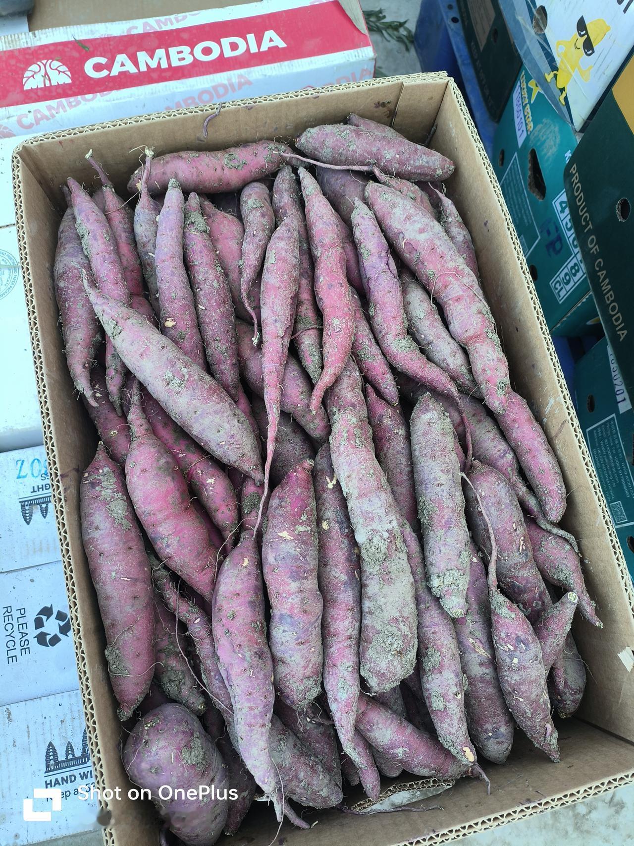 红薯挑选技巧


挑选红薯这可是个技术活，掌握了这几个口诀，保准你挑到的都是皮薄